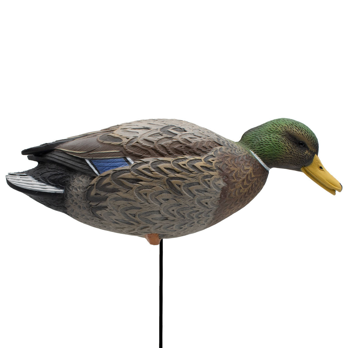 Live Full Body Early Season Mallard Duck Decoys, 6 Pack