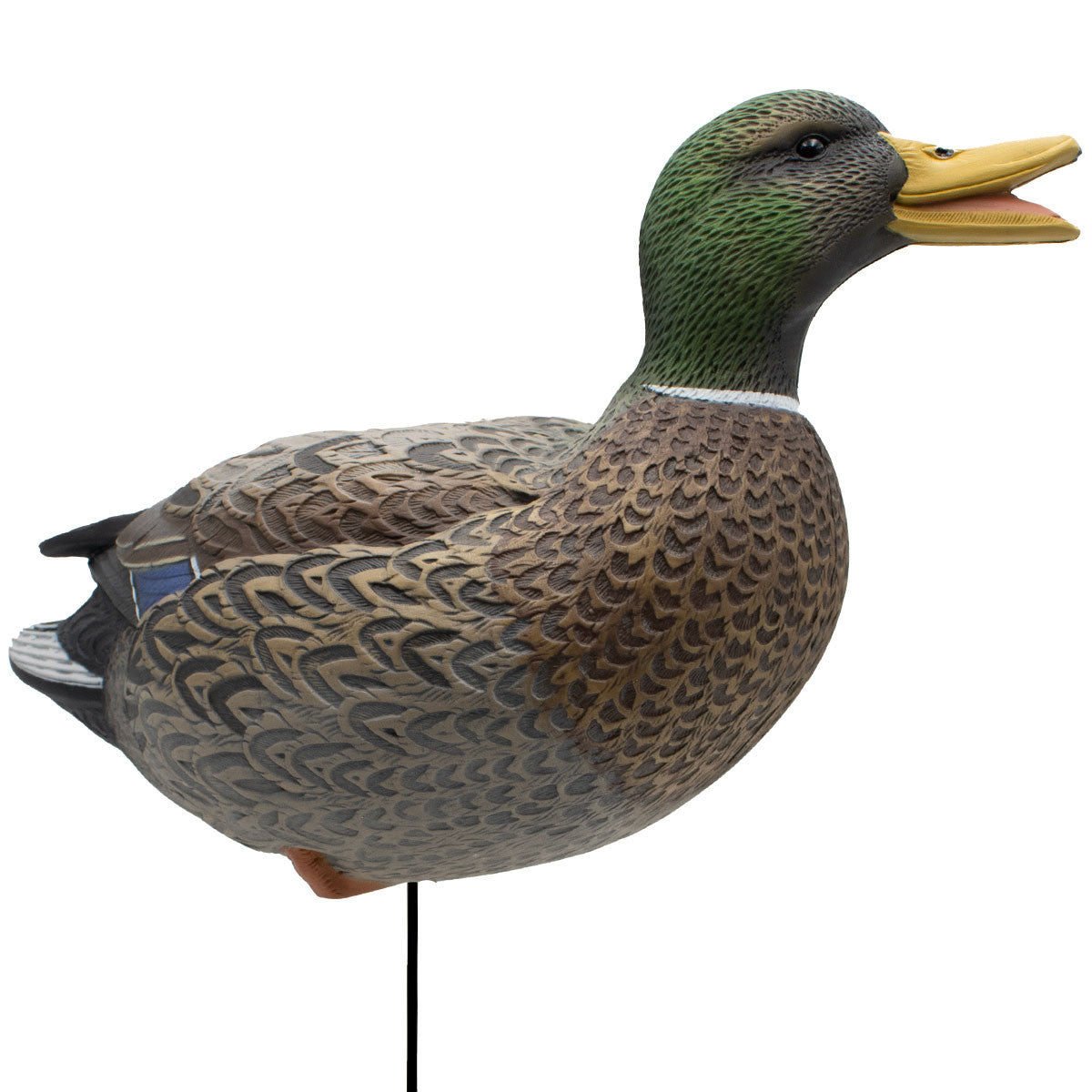 Live Full Body Early Season Mallard Duck Decoys, 6 Pack