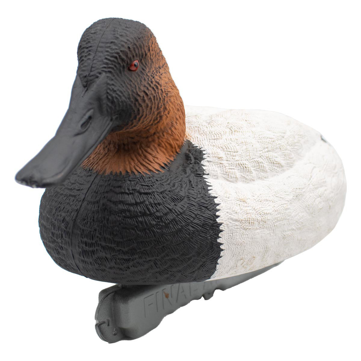 LIVE Foam-Filled Canvasbacks, 6 Pack