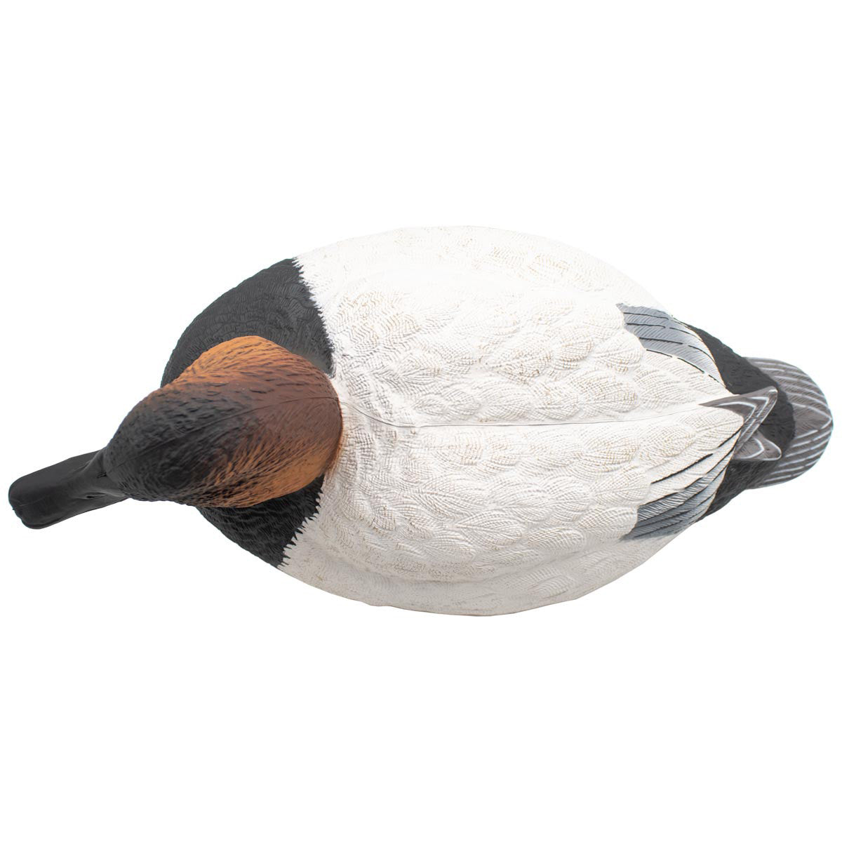 LIVE Foam-Filled Canvasbacks, 6 Pack