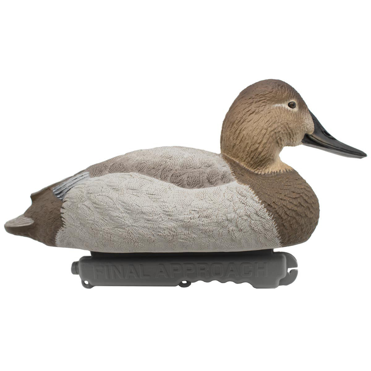 LIVE Foam-Filled Canvasbacks, 6 Pack