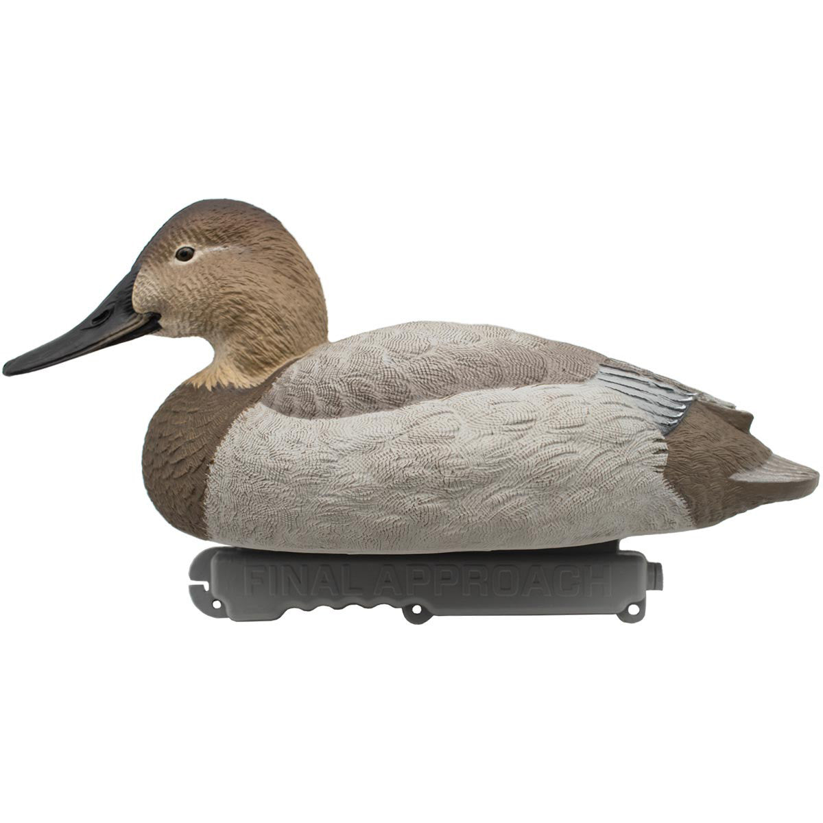 LIVE Foam-Filled Canvasbacks, 6 Pack