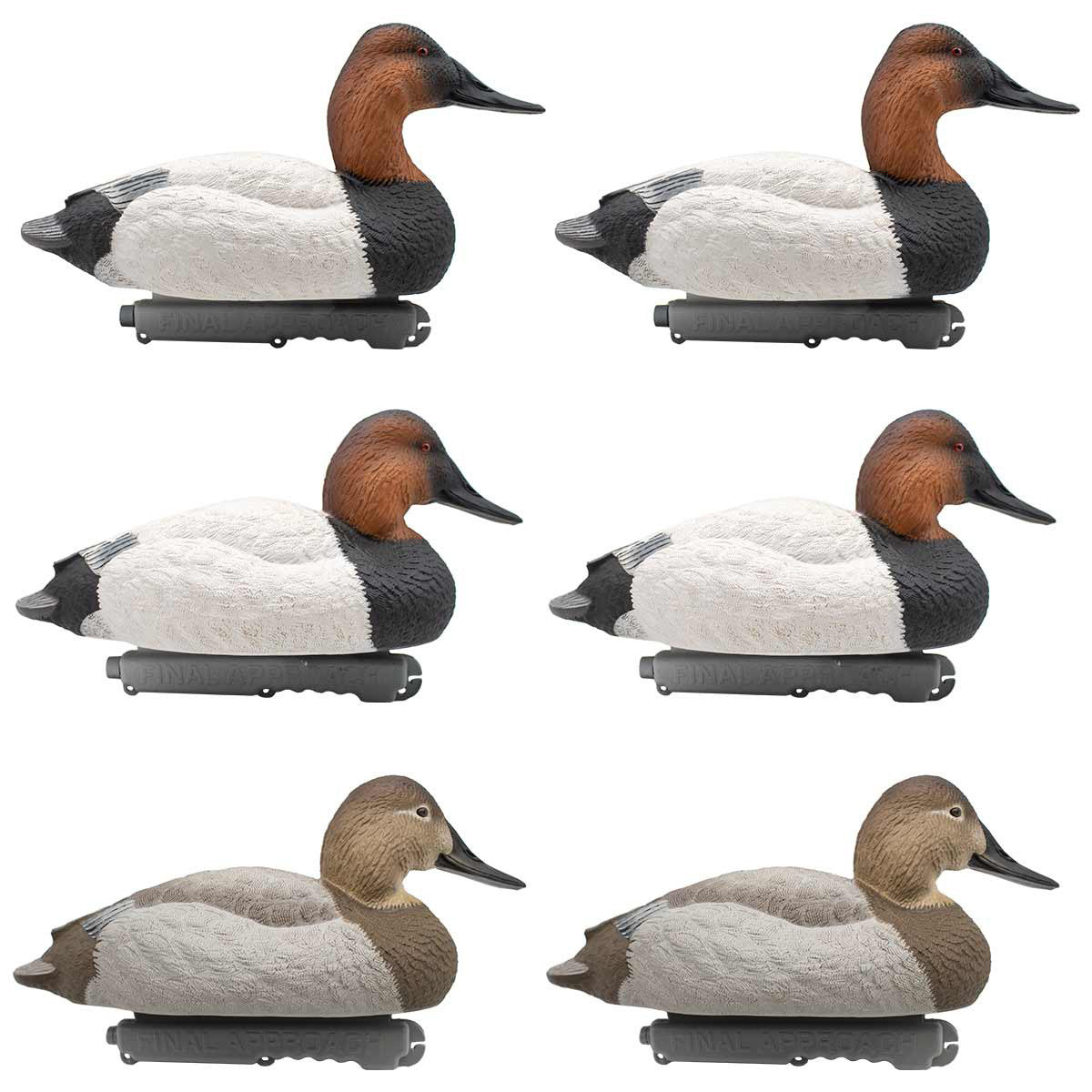 LIVE Foam-Filled Canvasbacks, 6 Pack