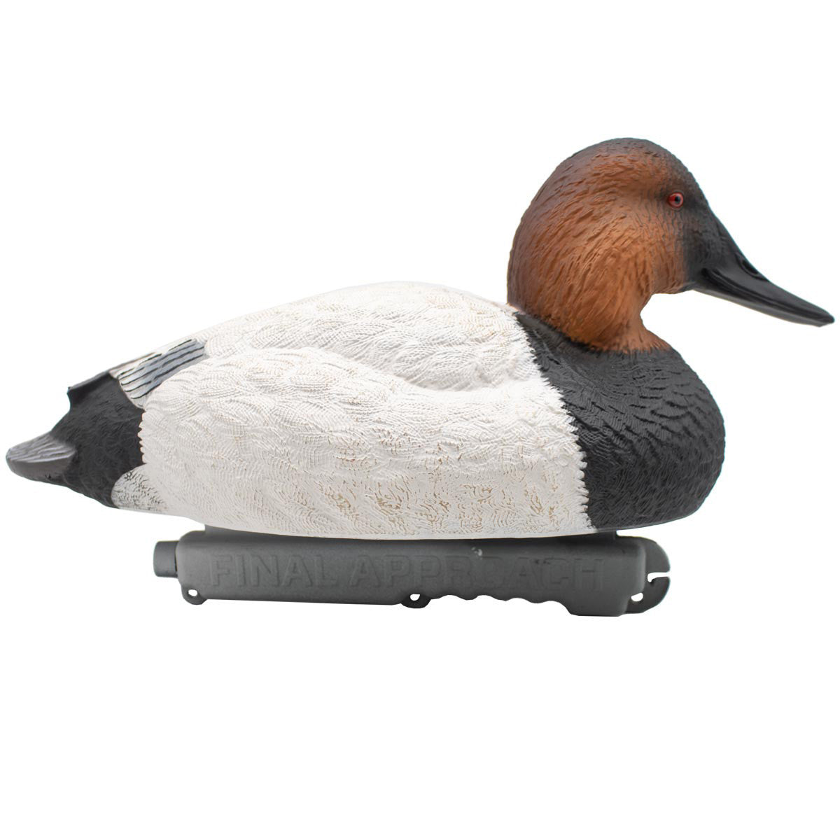 LIVE Foam-Filled Canvasbacks, 6 Pack