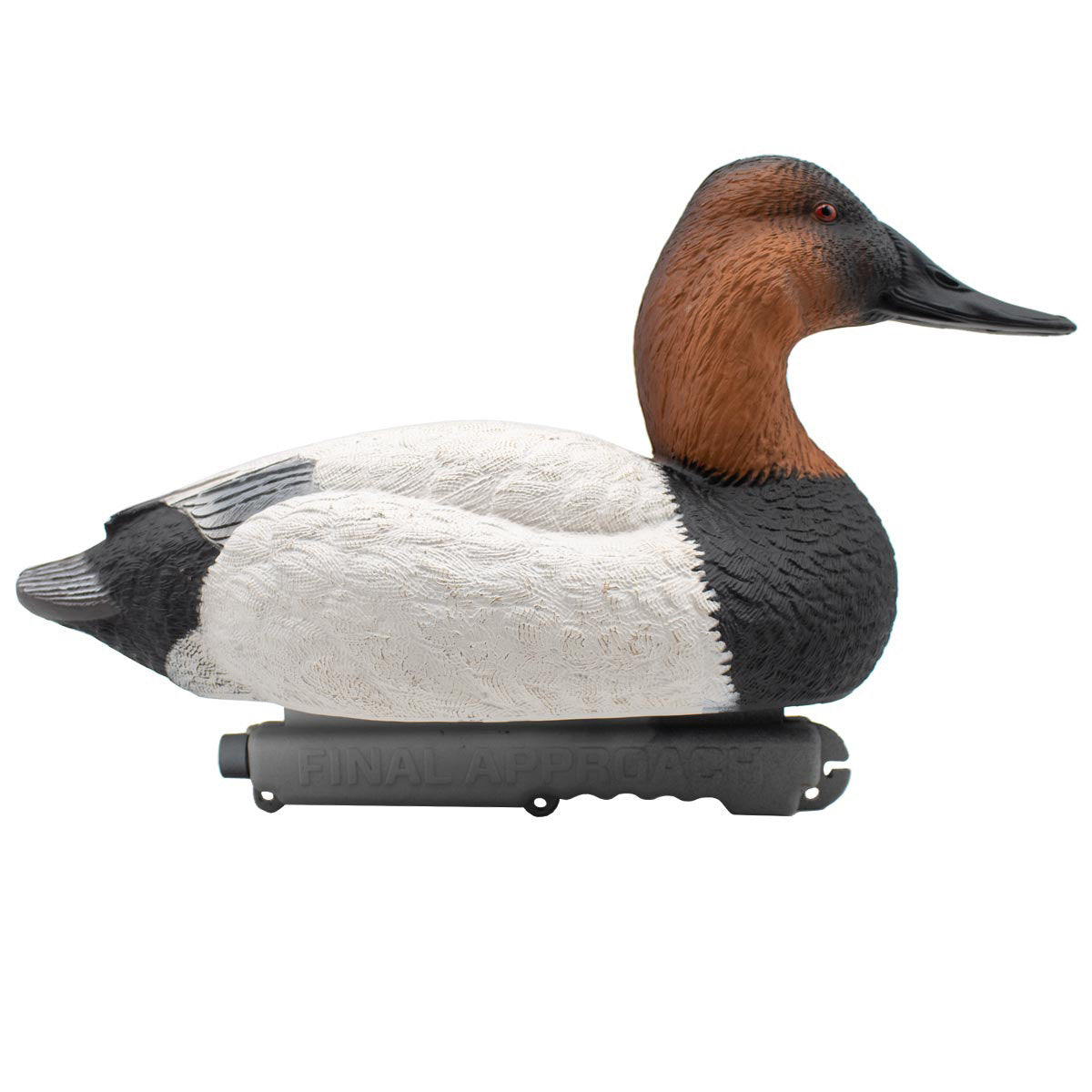 Final Approach LIVE Foam Filled Drake Diver Duck Decoys Image