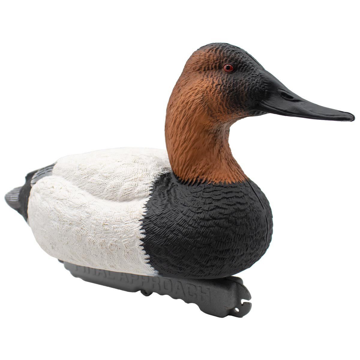Final Approach LIVE Foam Filled Drake Diver Duck Decoys Image