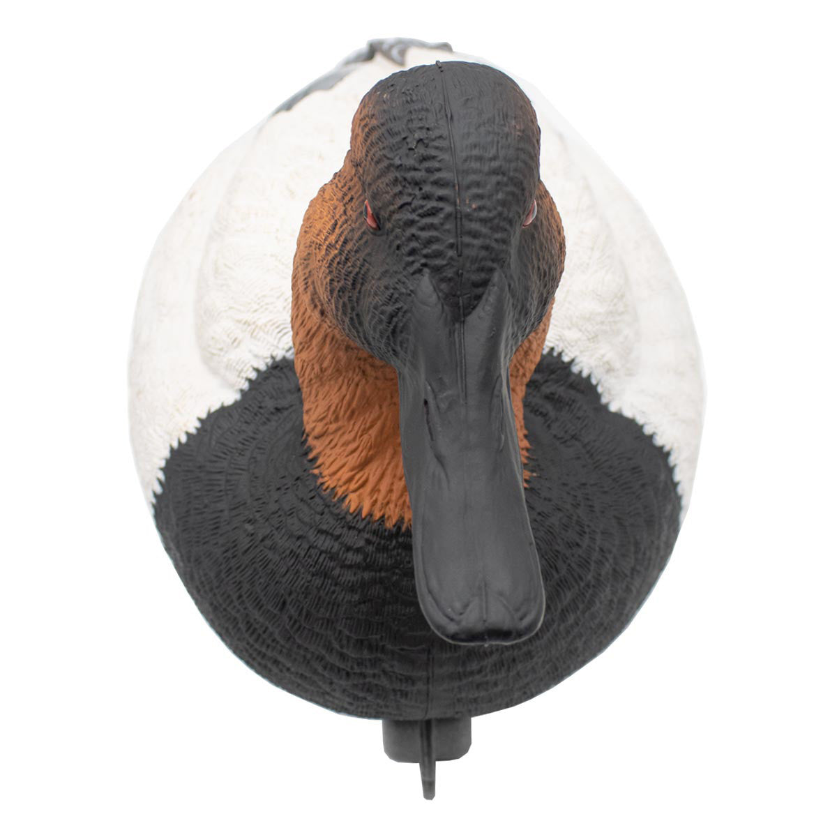 Final Approach LIVE Foam Filled Drake Diver Duck Decoys Image