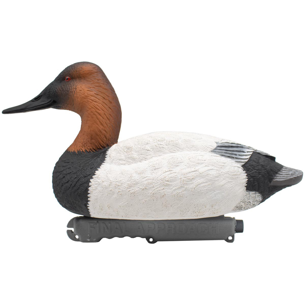 Final Approach LIVE Foam Filled Drake Diver Duck Decoys Image