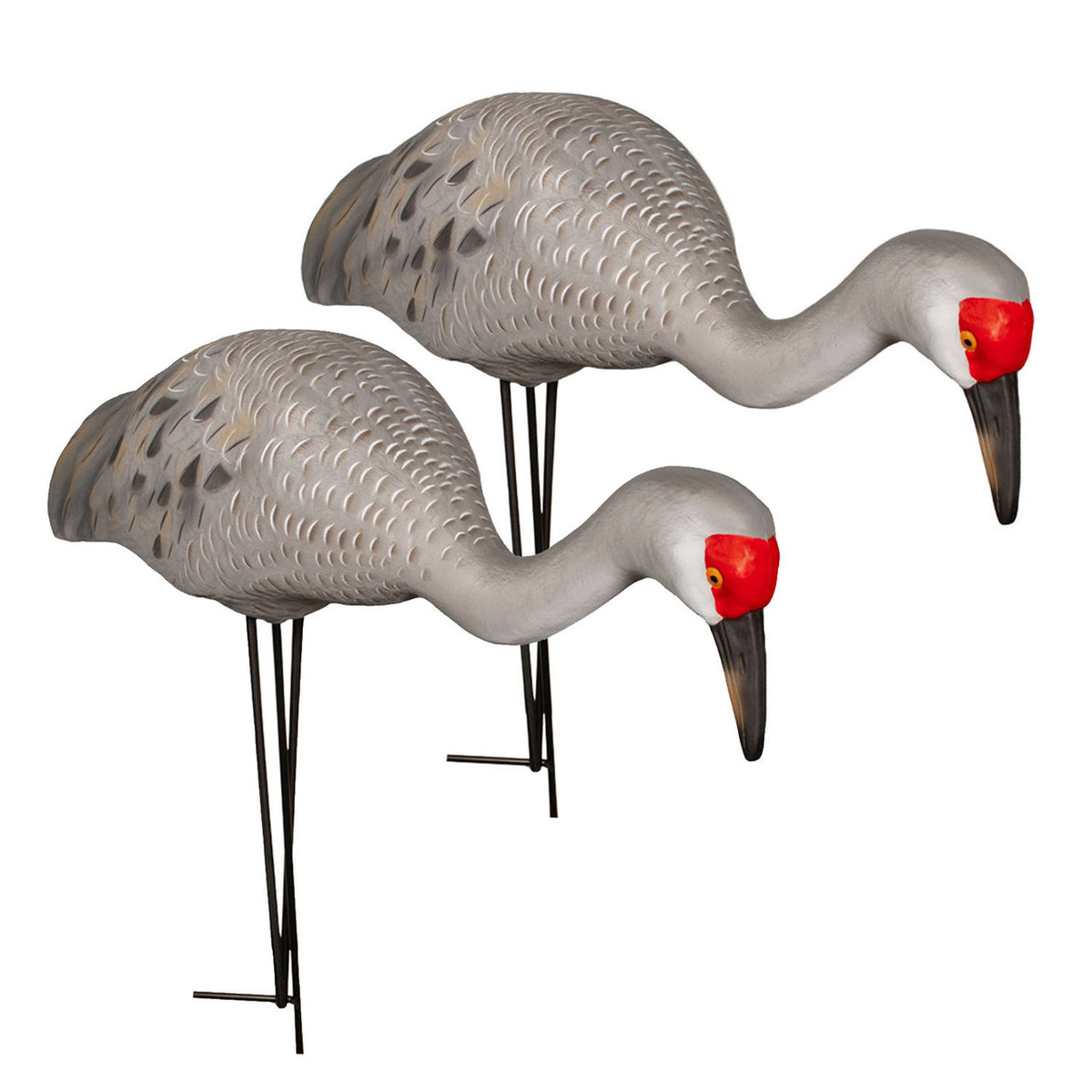 Final Approach Live Full Body Sandhill Crane Feeder Decoy 2 Pack Image