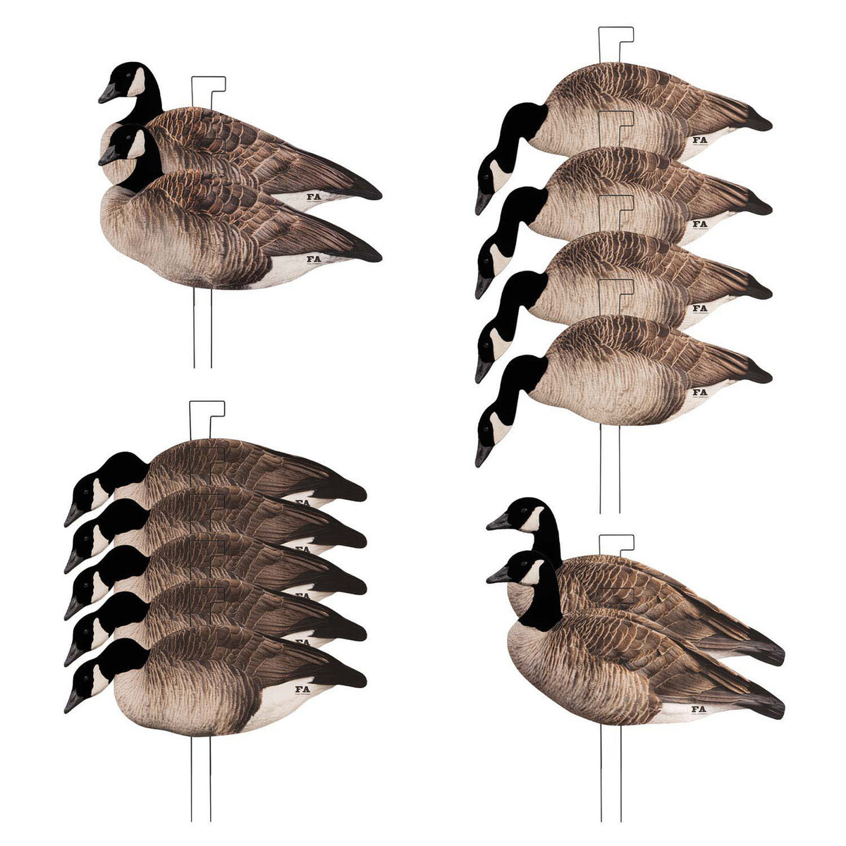 all decoys image