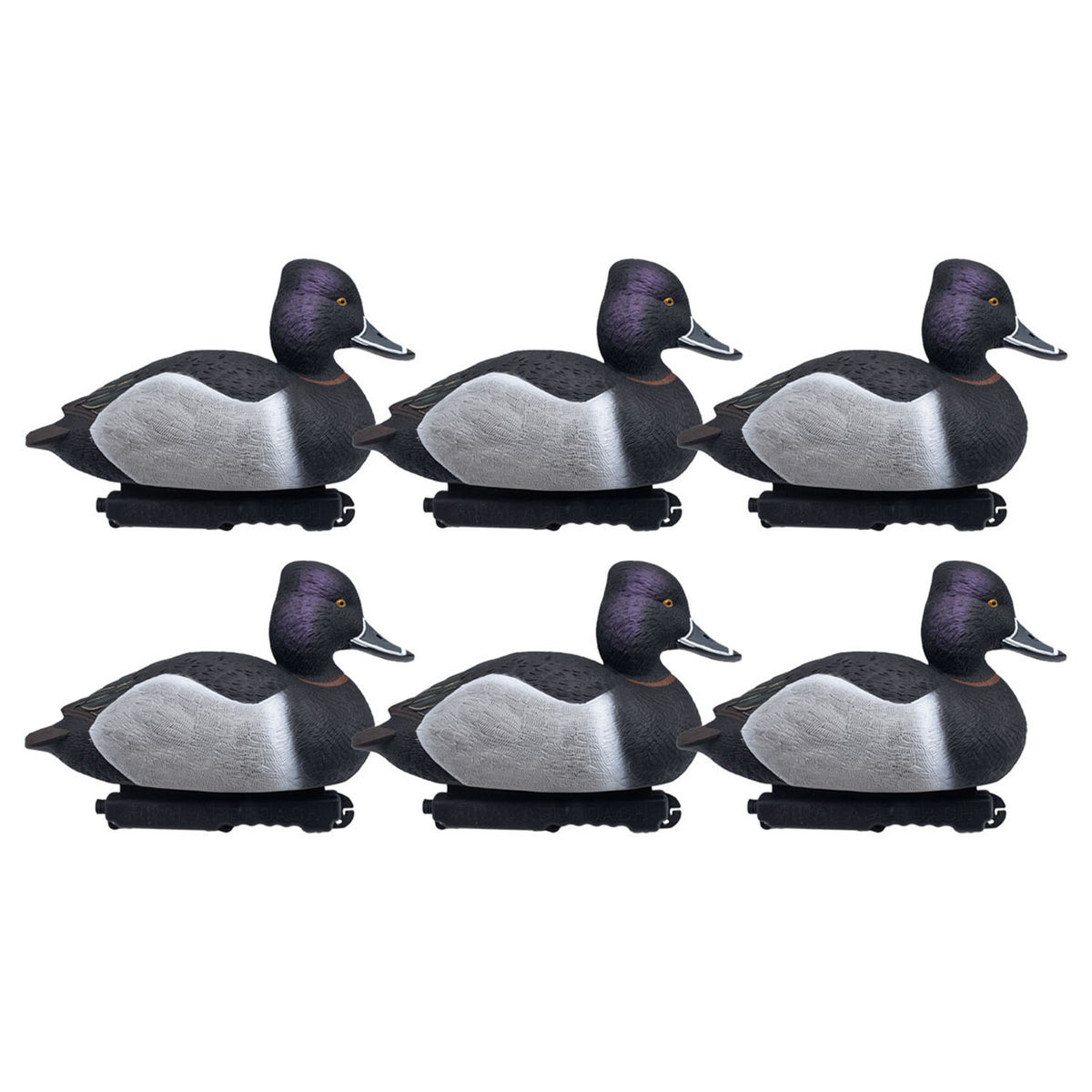 Final Approach LIVE Foam Filled Ringnecks, 6 Pack Image