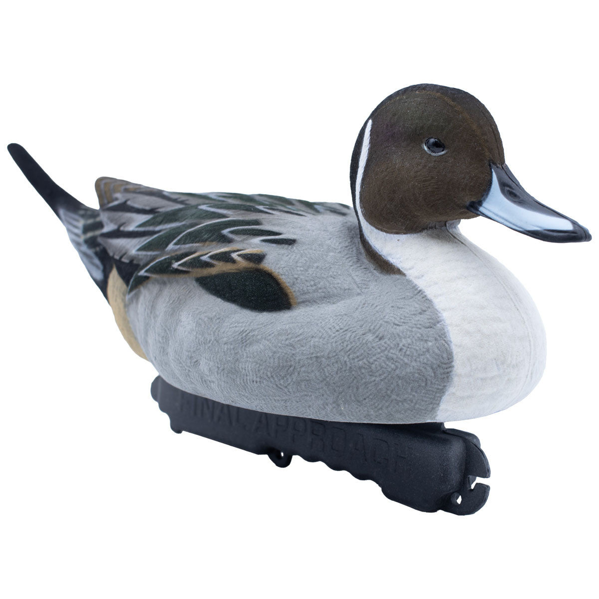 Final Approach LIVE Fully Flocked Pintail Image
