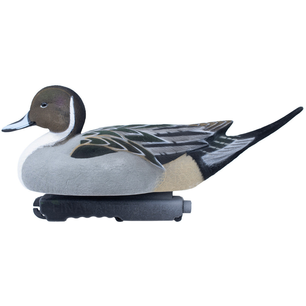 Final Approach LIVE Fully Flocked Pintail Image