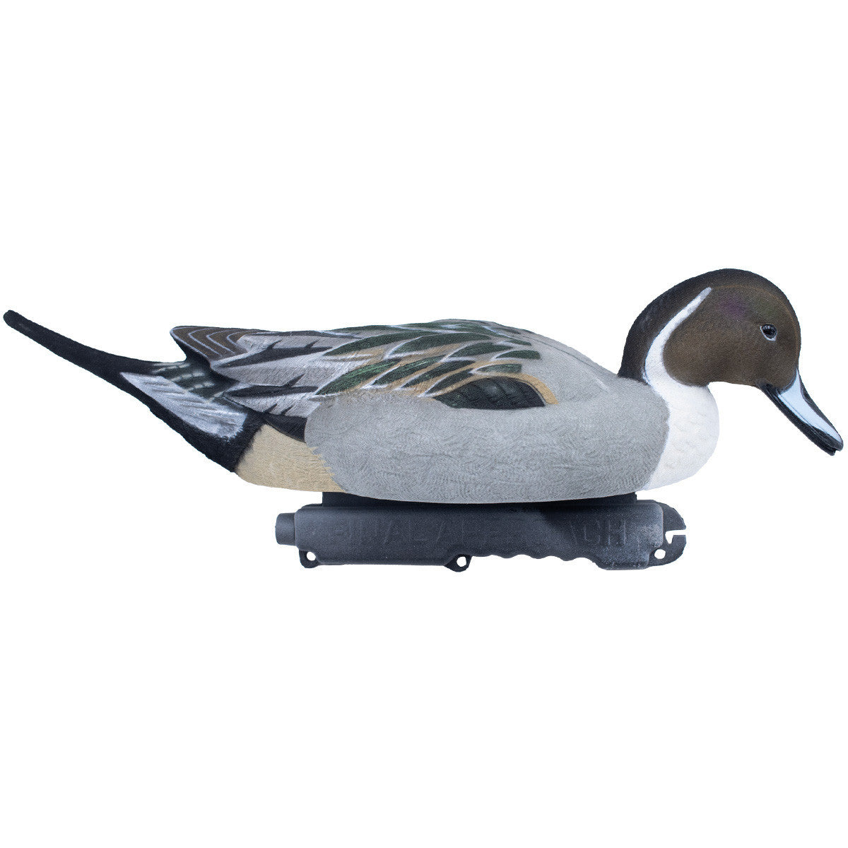 Final Approach LIVE Fully Flocked Pintail Image