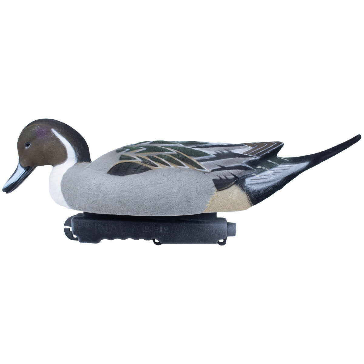 Final Approach LIVE Fully Flocked Pintail Image