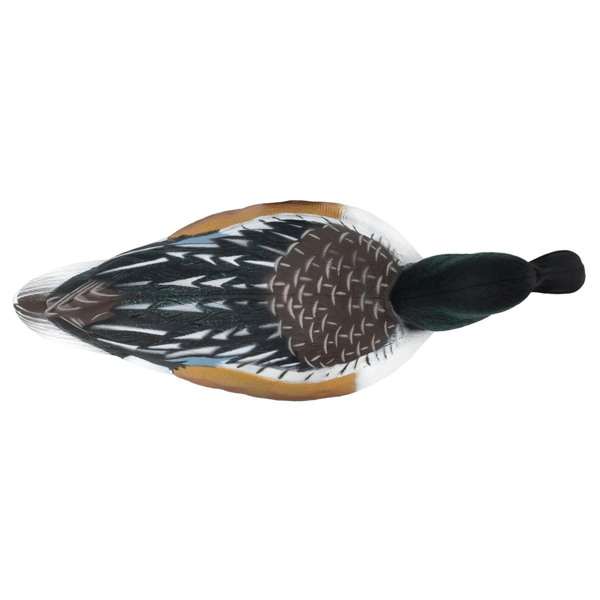 Final Approach HD Northern Shoveler Floating Duck Decoy above image