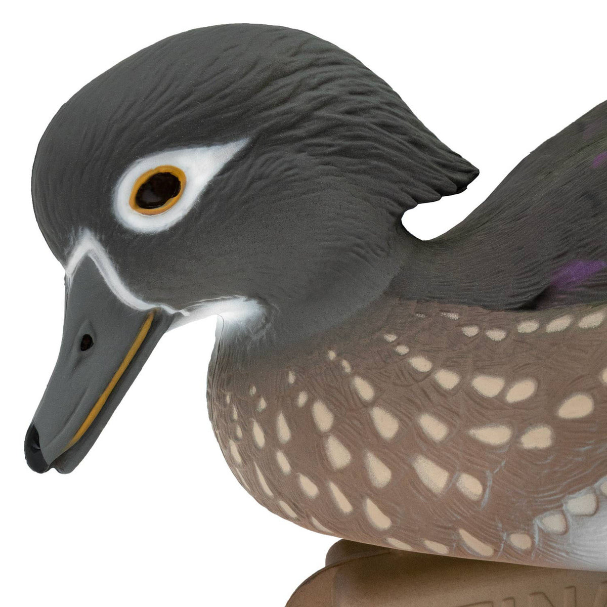 Head hen image of the HD Wood Ducks Floating Duck Decoys.
