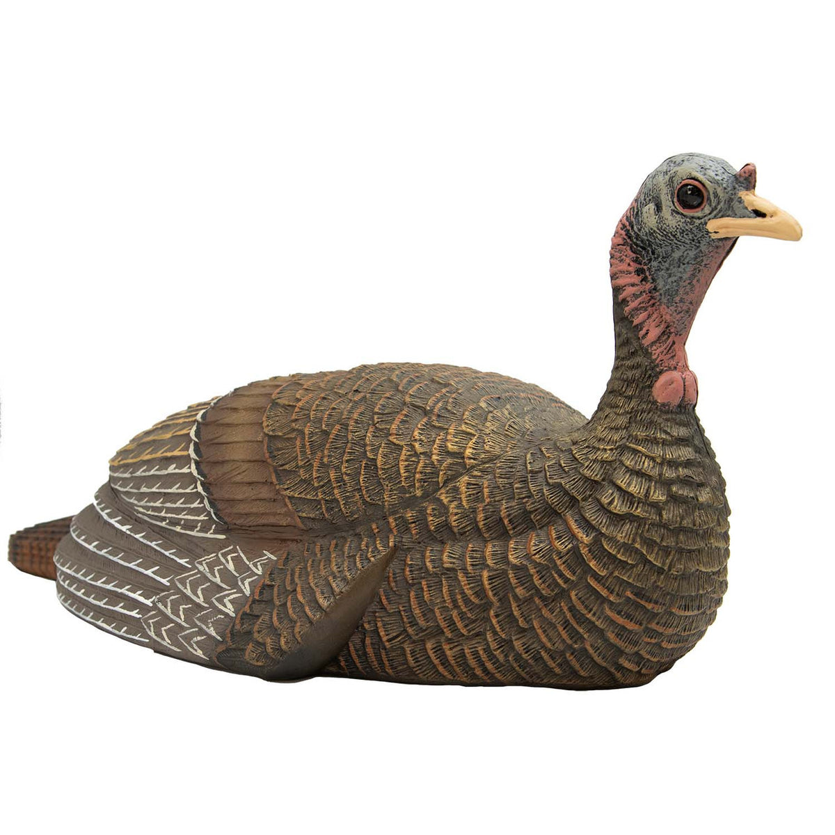 Final Approach Live Laydown Hen Front Angled Image