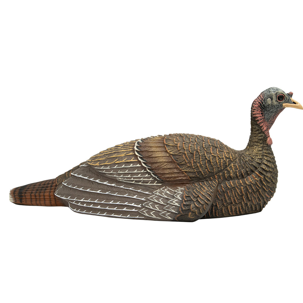 Final Approach Live Laydown Hen Right Side Image