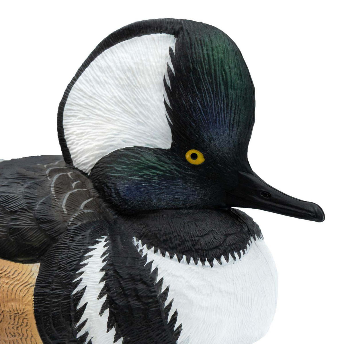 Head Image of the Live Hooded Merganser Duck Decoy.