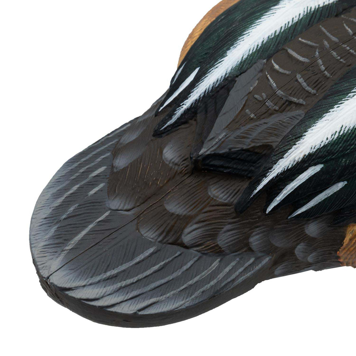 Tail Image of the Live Hooded Merganser Duck Decoy.