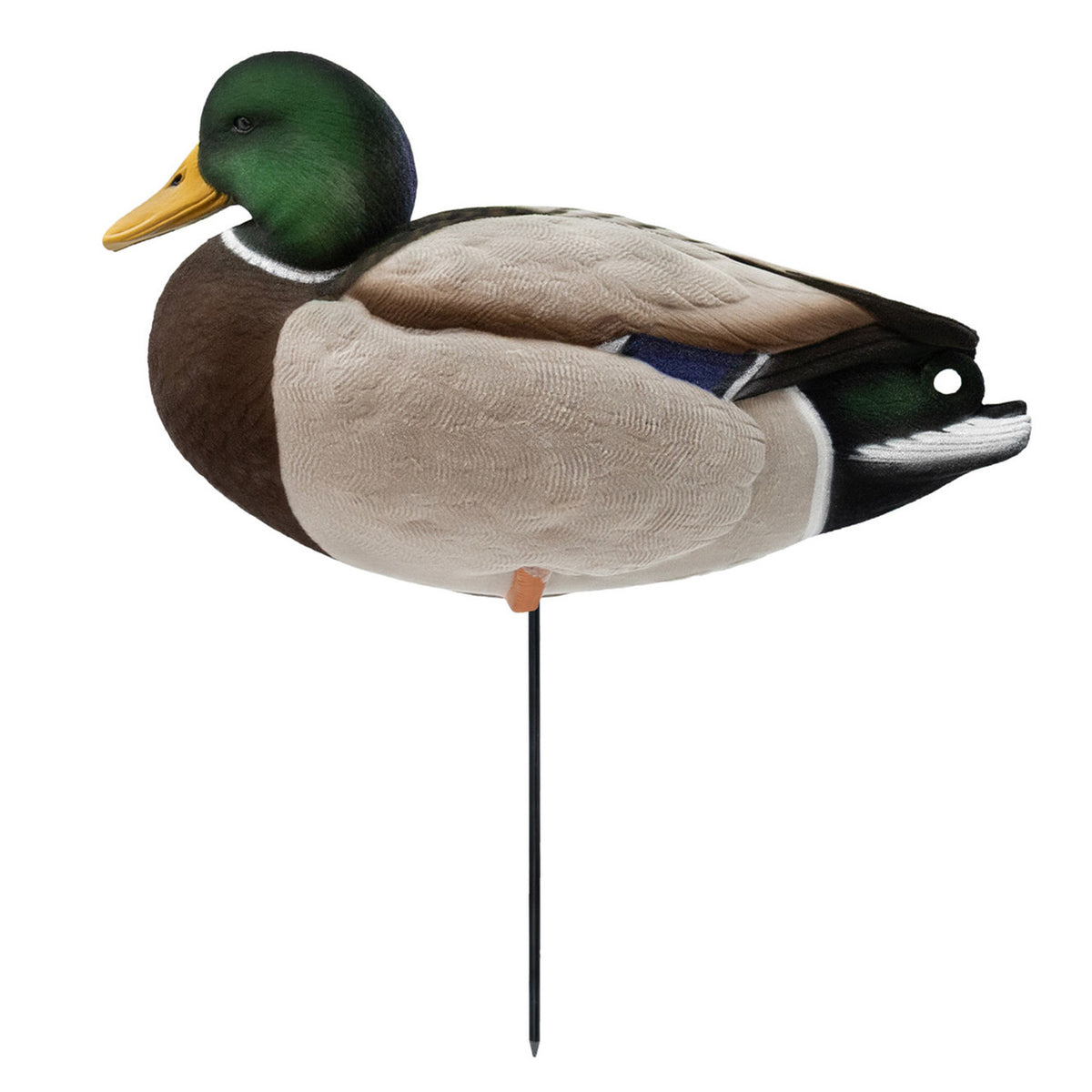 Left Side Resting Drake Image of the HD Full-Body Fully Flocked Mallard Duck Decoys.