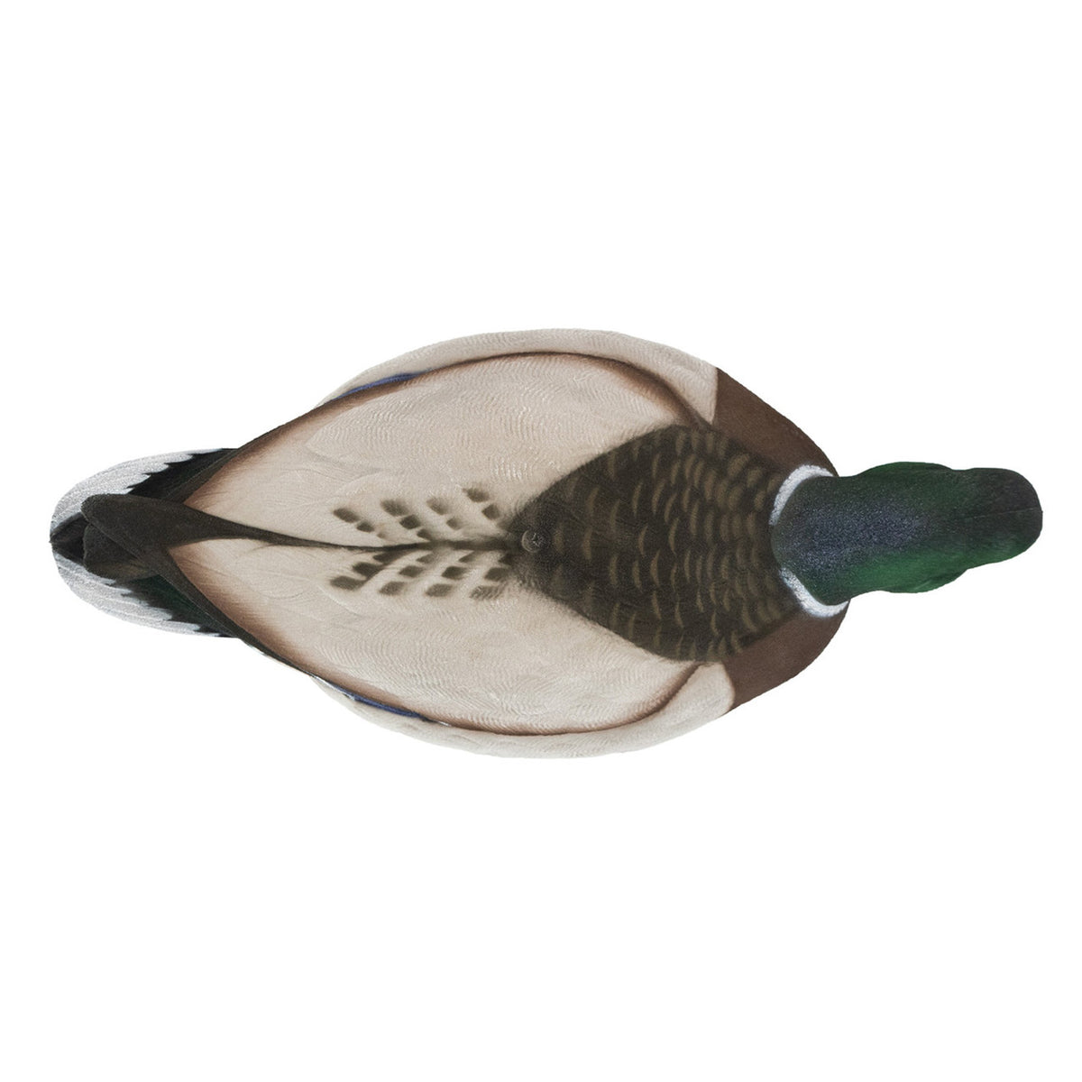 Top Feeding Drake Head Image of the HD Full-Body Fully Flocked Mallard Duck Decoys.