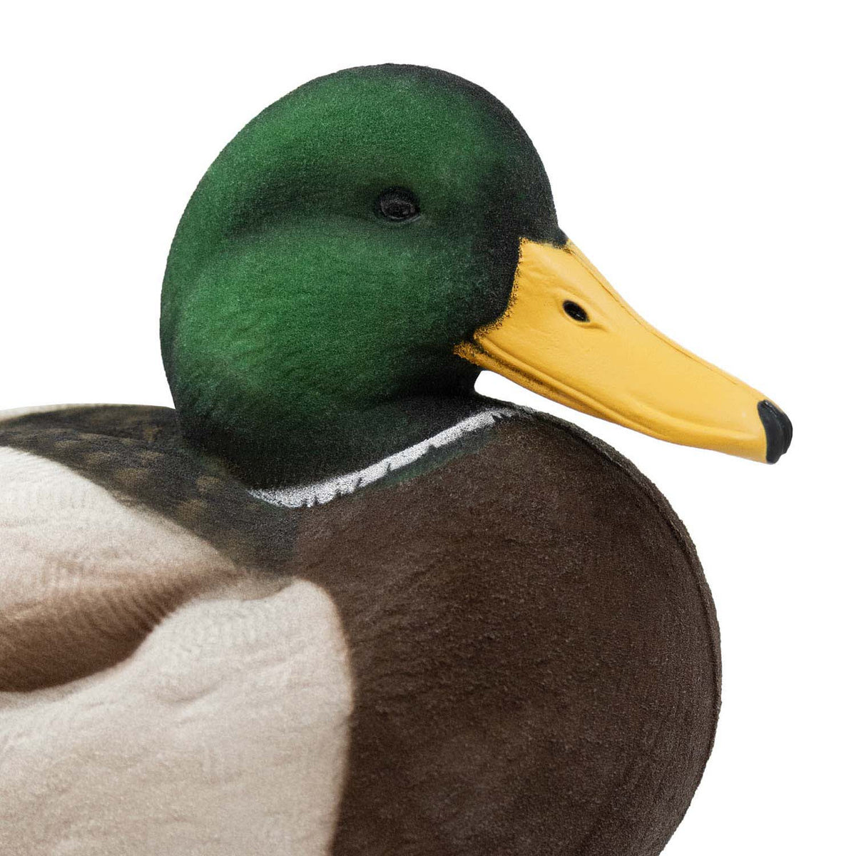 Resting Drake Head Image of the HD Full-Body Fully Flocked Mallard Duck Decoys.