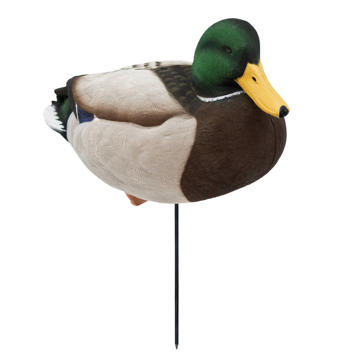Front Resting Drake Image of the HD Full-Body Fully Flocked Mallard Duck Decoys.