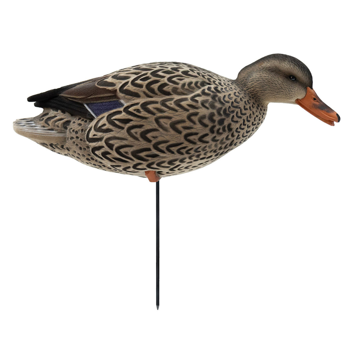 Feeding Hen Image of the HD Full-Body Fully Flocked Mallard Duck Decoys.