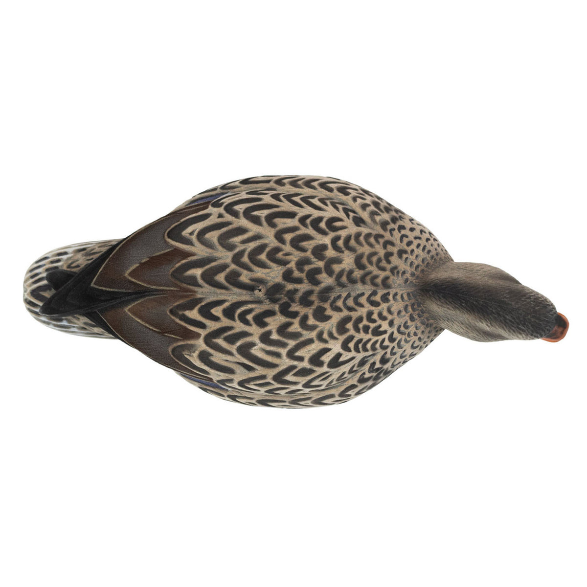 Top Hen Image of the HD Full-Body Fully Flocked Mallard Duck Decoys.
