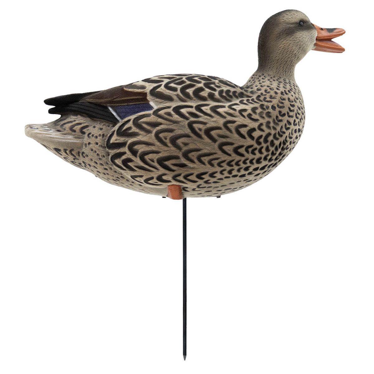 Upright Hen Image of the HD Full-Body Fully Flocked Mallard Duck Decoys.