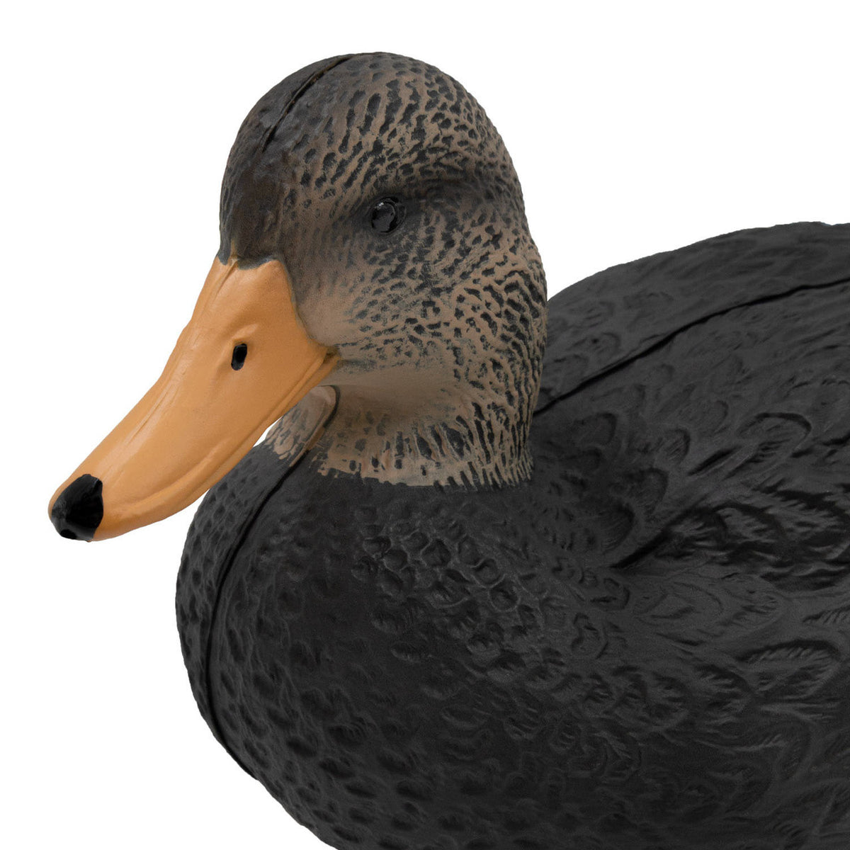Mallard Head Image of the Final Approach Last Pass Black Duck Decoys.
