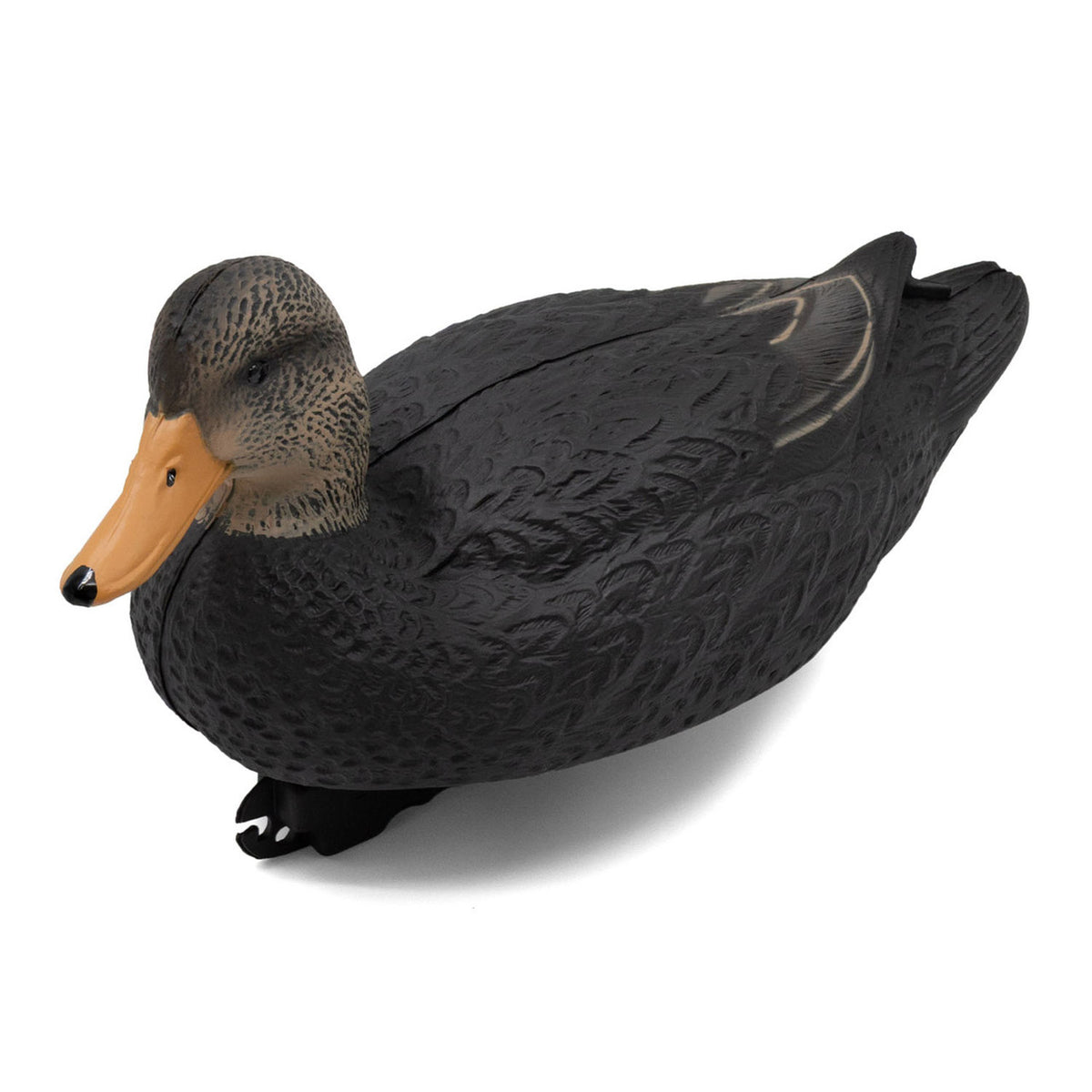Mallard Front Angled Image of the Final Approach Last Pass Black Duck Decoys.