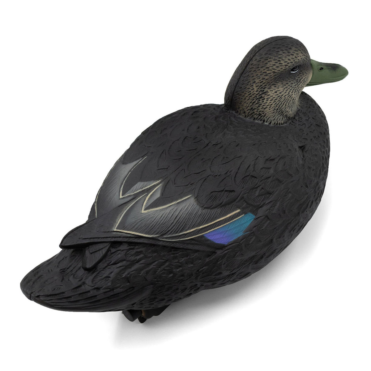 Back of Hen Image of the Oversized Live Black Duck Decoys.