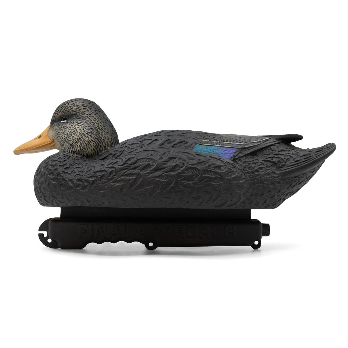 Left Side of Drake Image of the Oversized Live Black Duck Decoys.