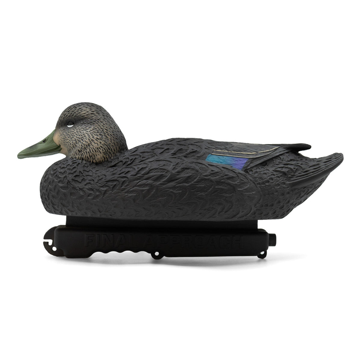 Left Side of Hen Image of the Oversized Live Black Duck Decoys.