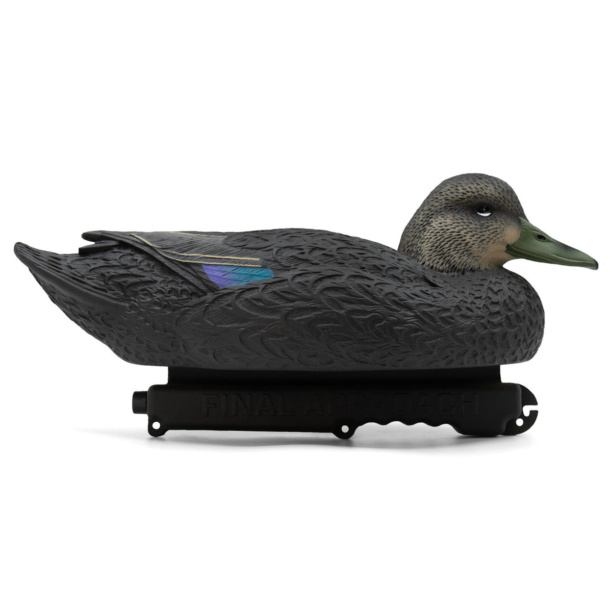 Right Side of Hen Image of the Oversized Live Black Duck Decoys.