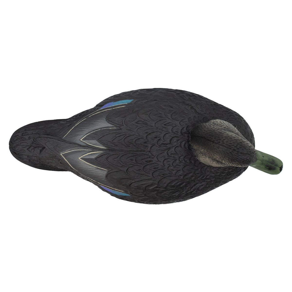 Top of Hen Image of the Oversized Live Black Duck Decoys.