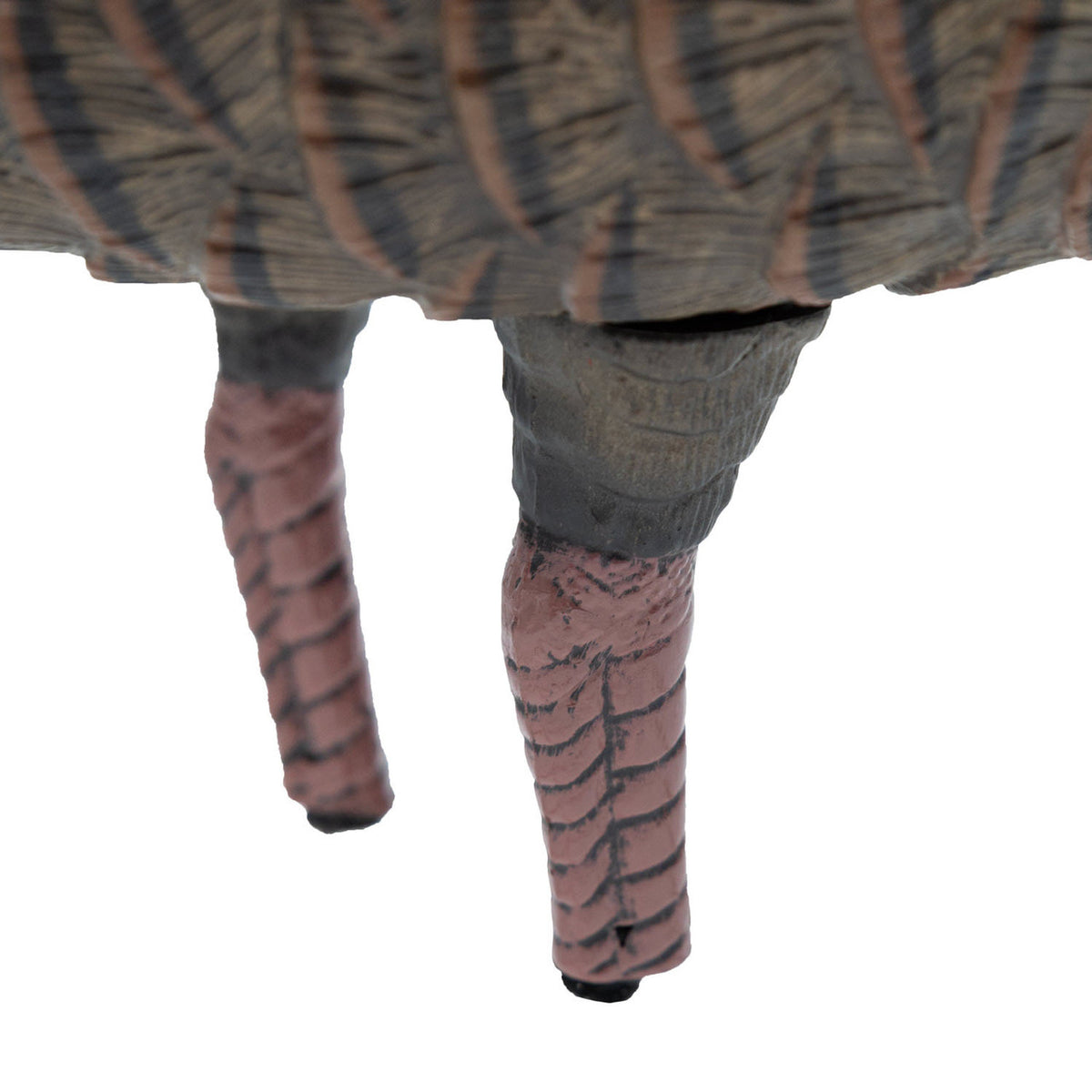 Final Approach Live Feeder Hen Turkey Decoy Legs Image