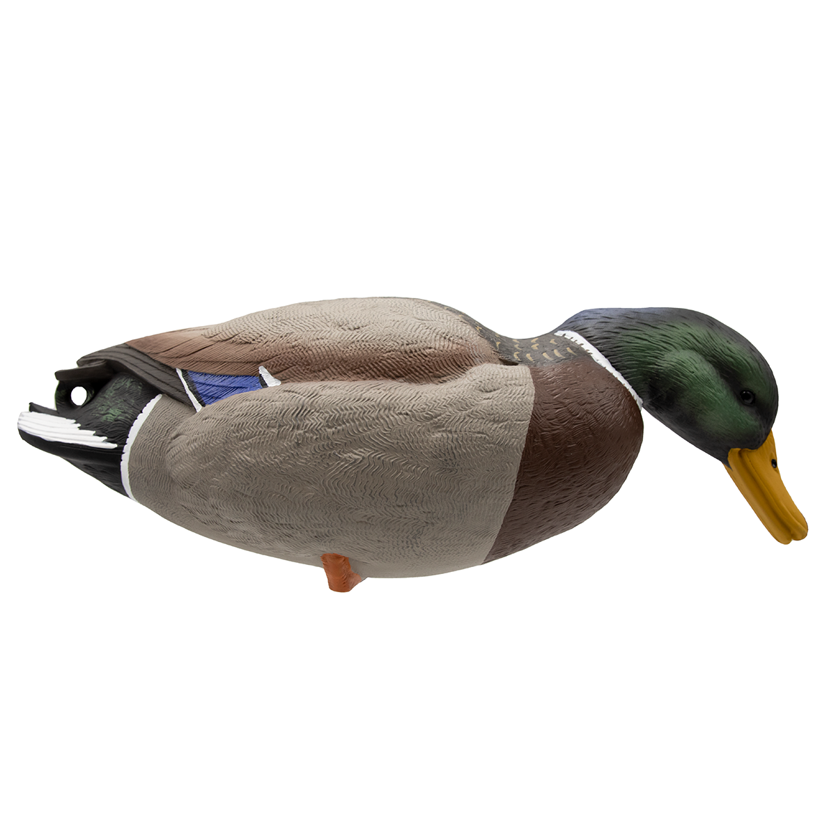 Live Full Body Mallard Decoys - 12 Pack