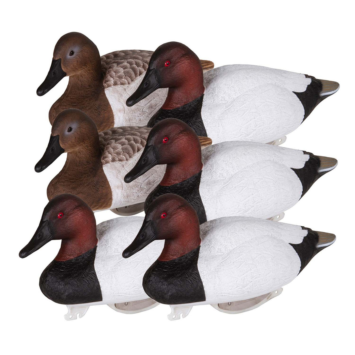 Six Pack Image of the Flambeau Gunning Series Foam Filled Canvasback Floating Decoys.