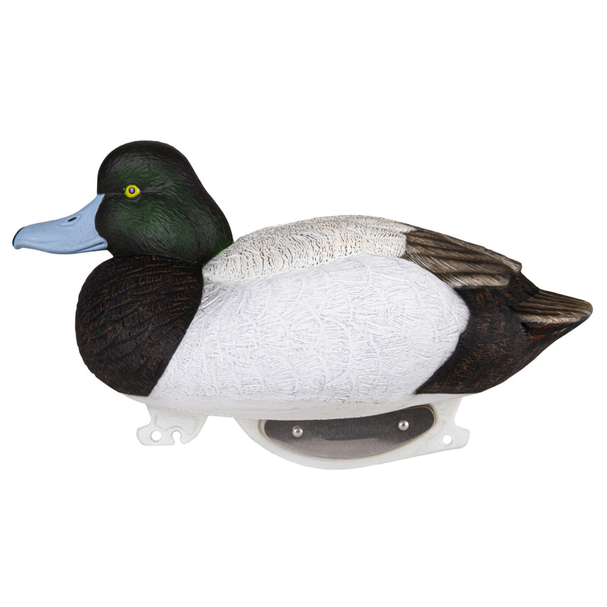 Drake Image of the Flambeau Outdoors Gunning Series Foam Filled BlueBill Decoys.