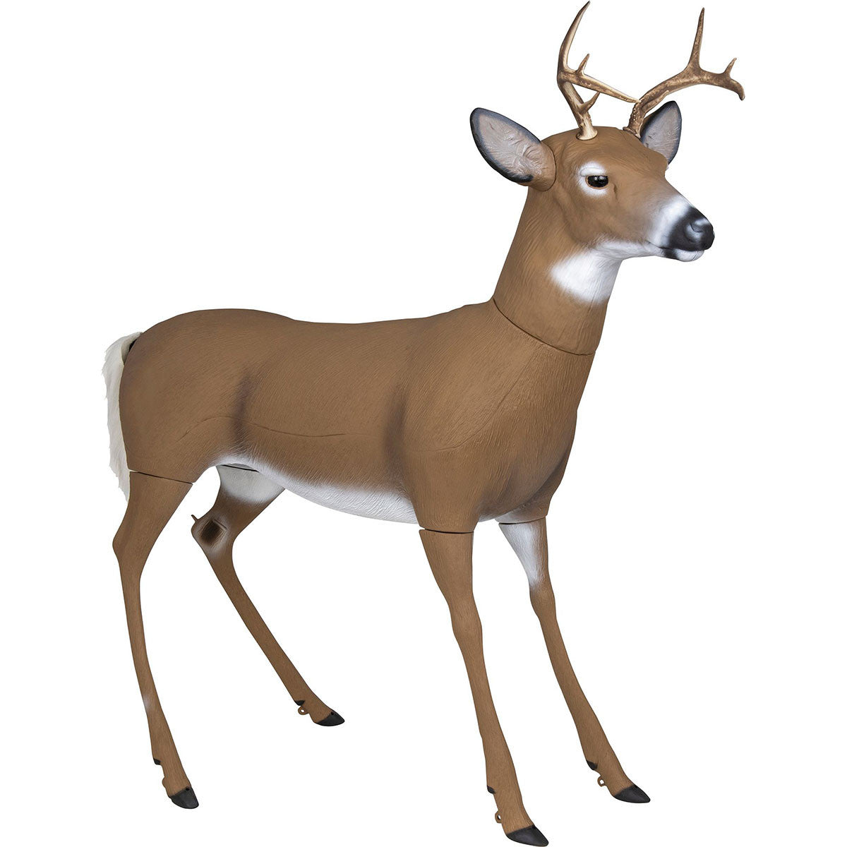 Scrapper Buck Decoy
