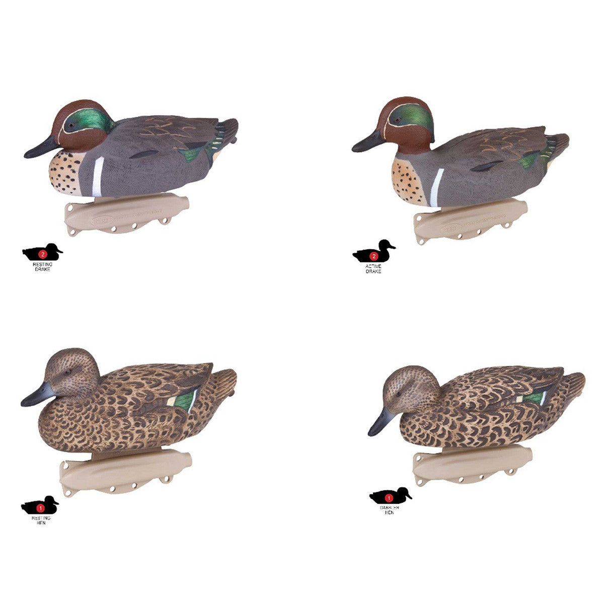 Storm Front Classic Green-Winged Teal, 6 Pack