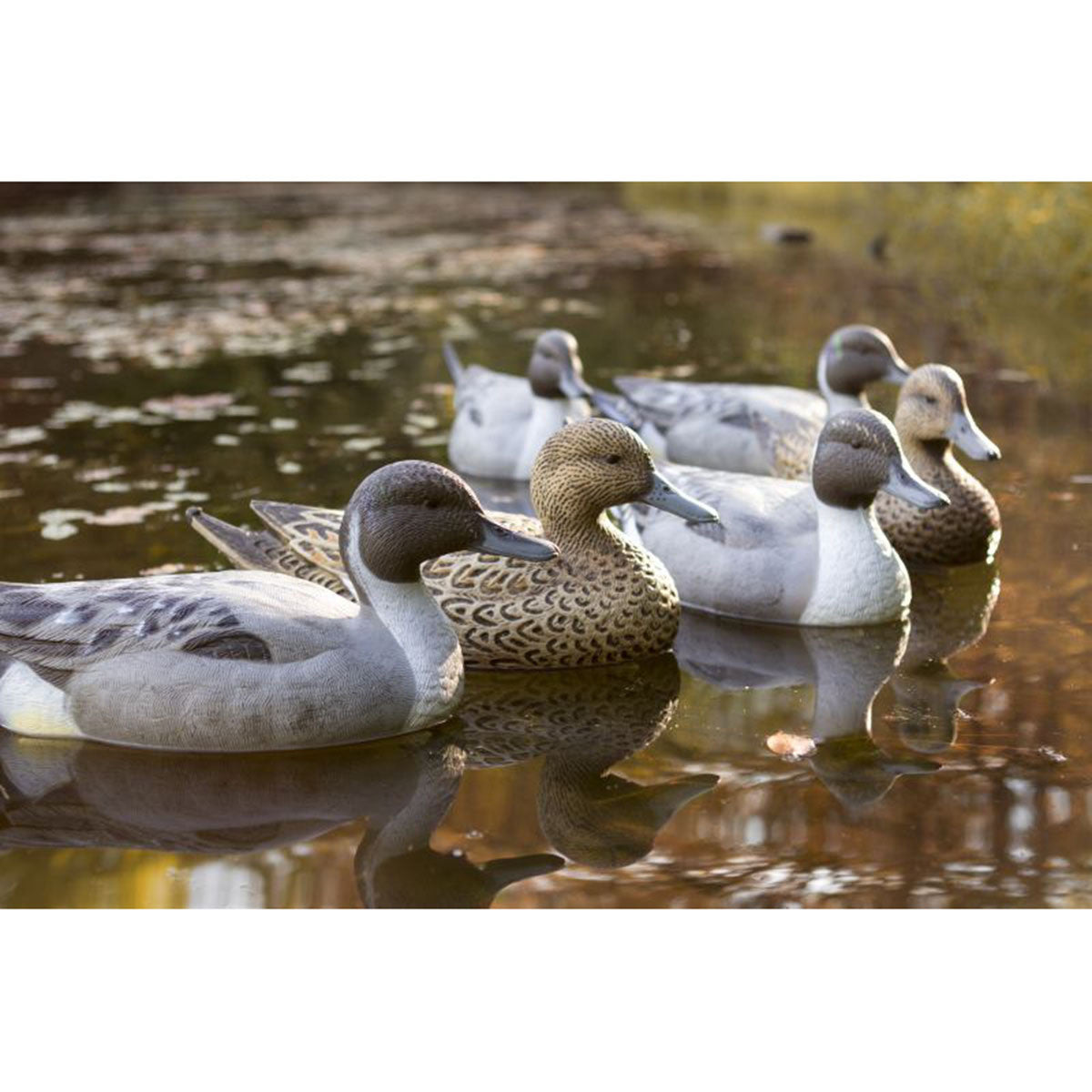 Flambeau Storm Front 2 Classic Floater Pintail Duck Decoys, 6 Pack In-the-Field Image