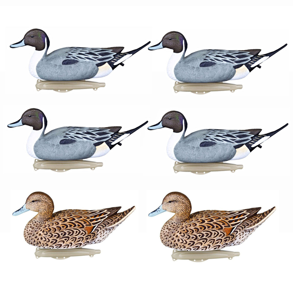 Flambeau Storm Front 2 Classic Floater Pintail Duck Decoys, 6 Pack Image