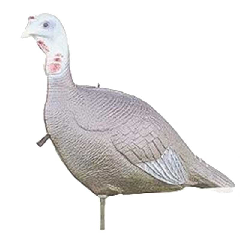Passive Jake Turkey