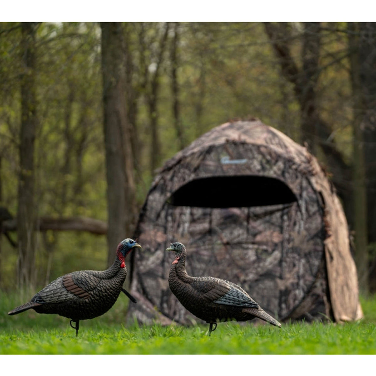Flextone Thunder Jake Turkey Decoy Field Image