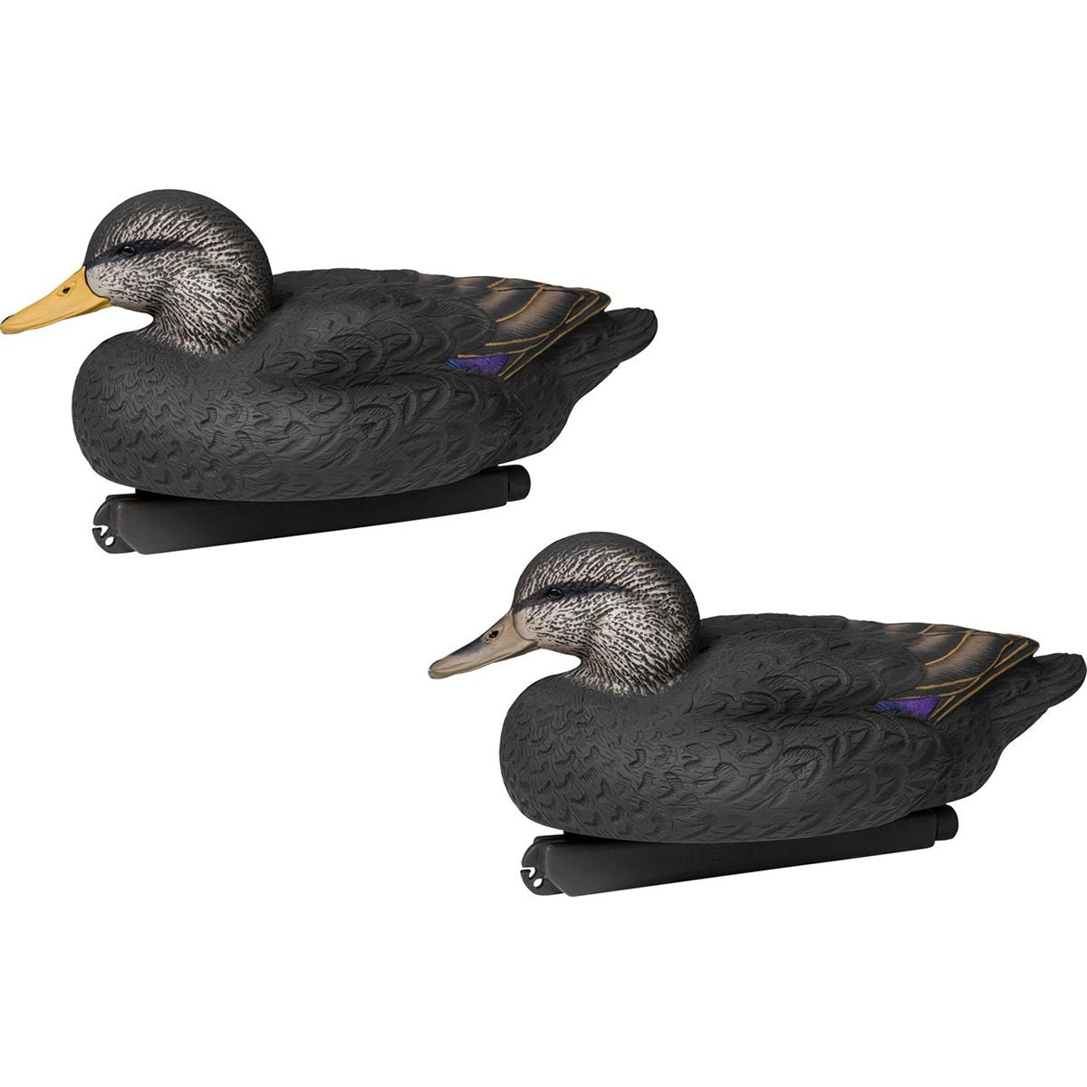 Life Size Black Duck Decoy, 6 Pack